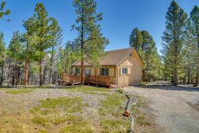 McCall Creekside Cabin Secluded Buena Vista Gem!